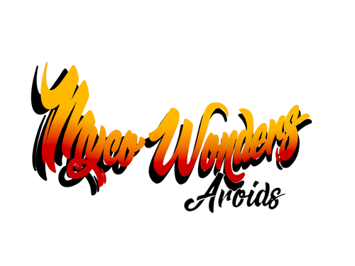 mycowondersaroids